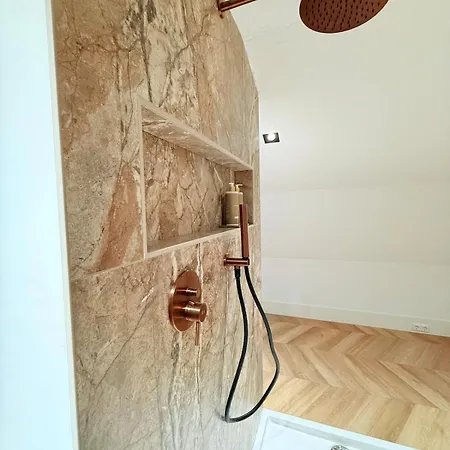 Luxury Near Amsterdam *